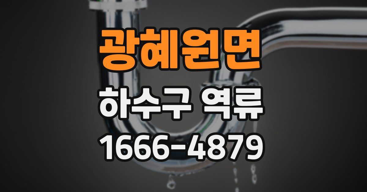 광혜원면 하수구 역류