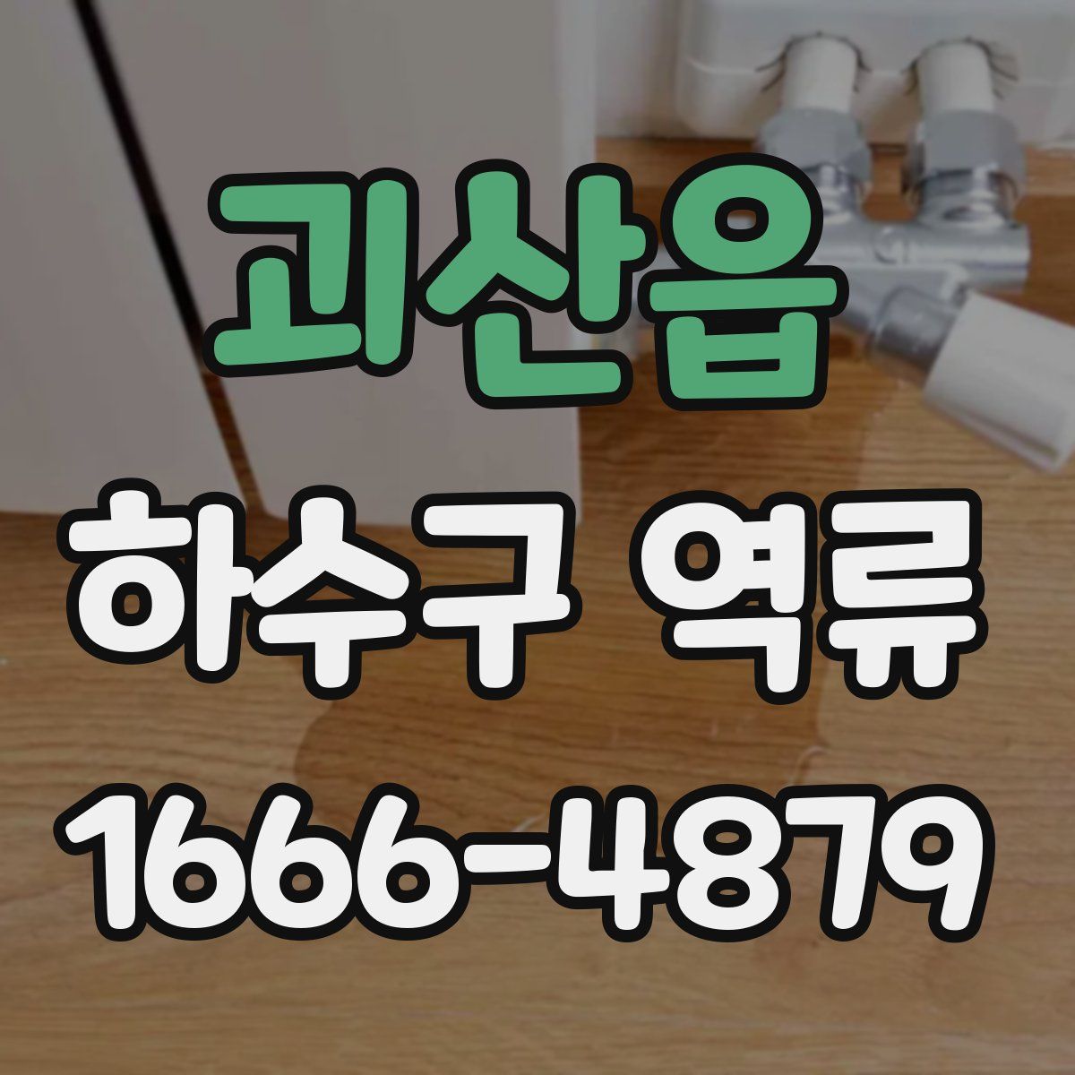 괴산읍 하수구 역류