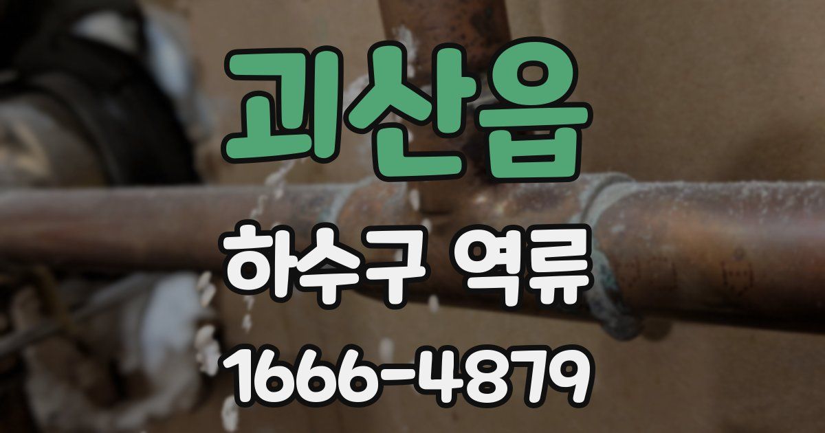 괴산읍 하수구 역류