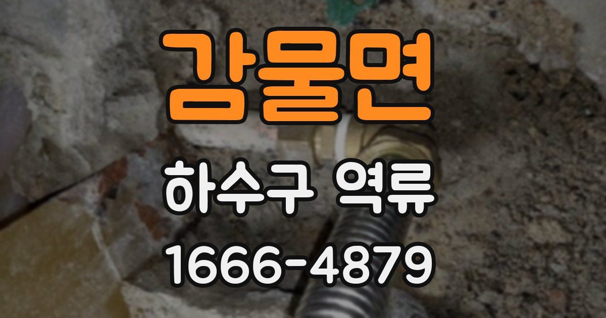 감물면 하수구 역류