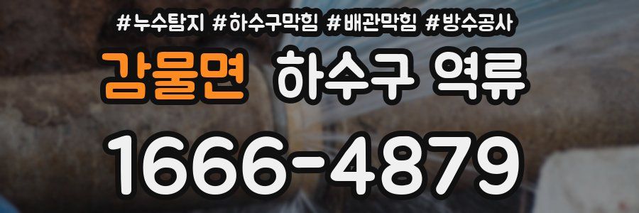 감물면 하수구 역류