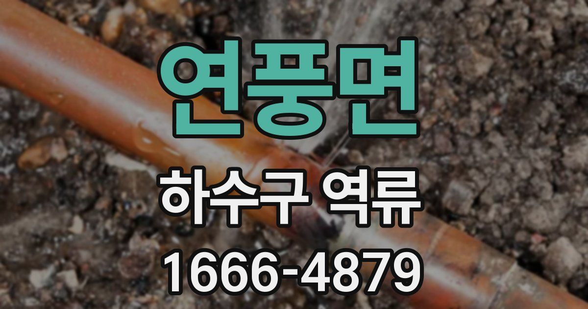 연풍면 하수구 역류