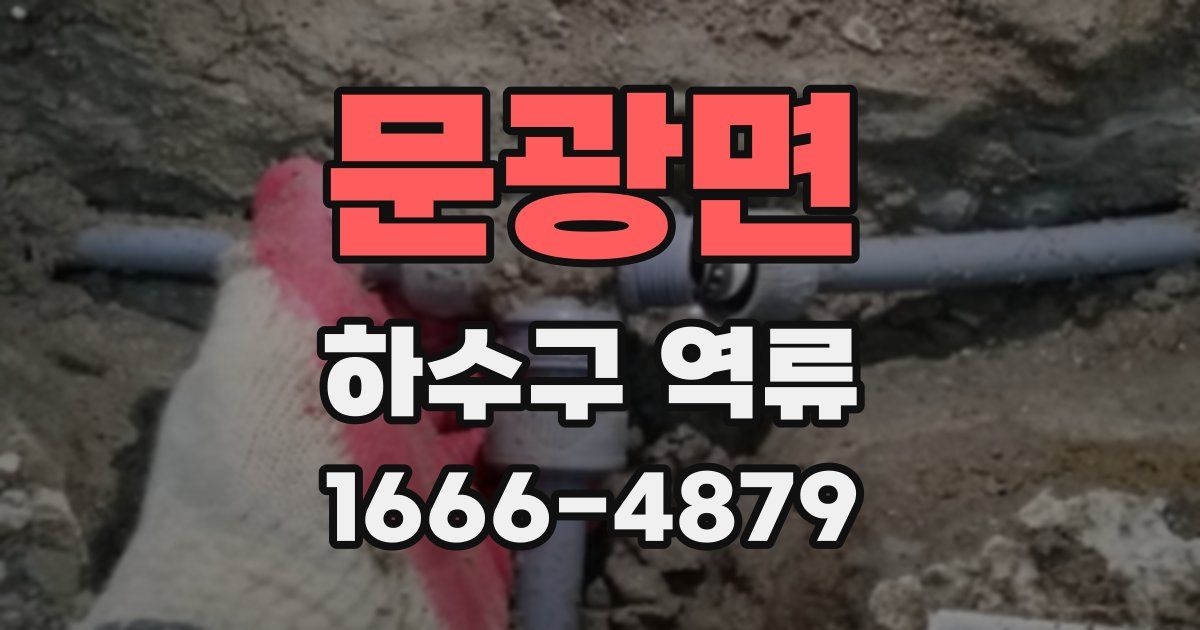 문광면 하수구 역류
