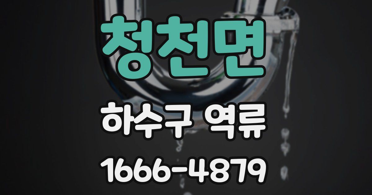 청천면 하수구 역류