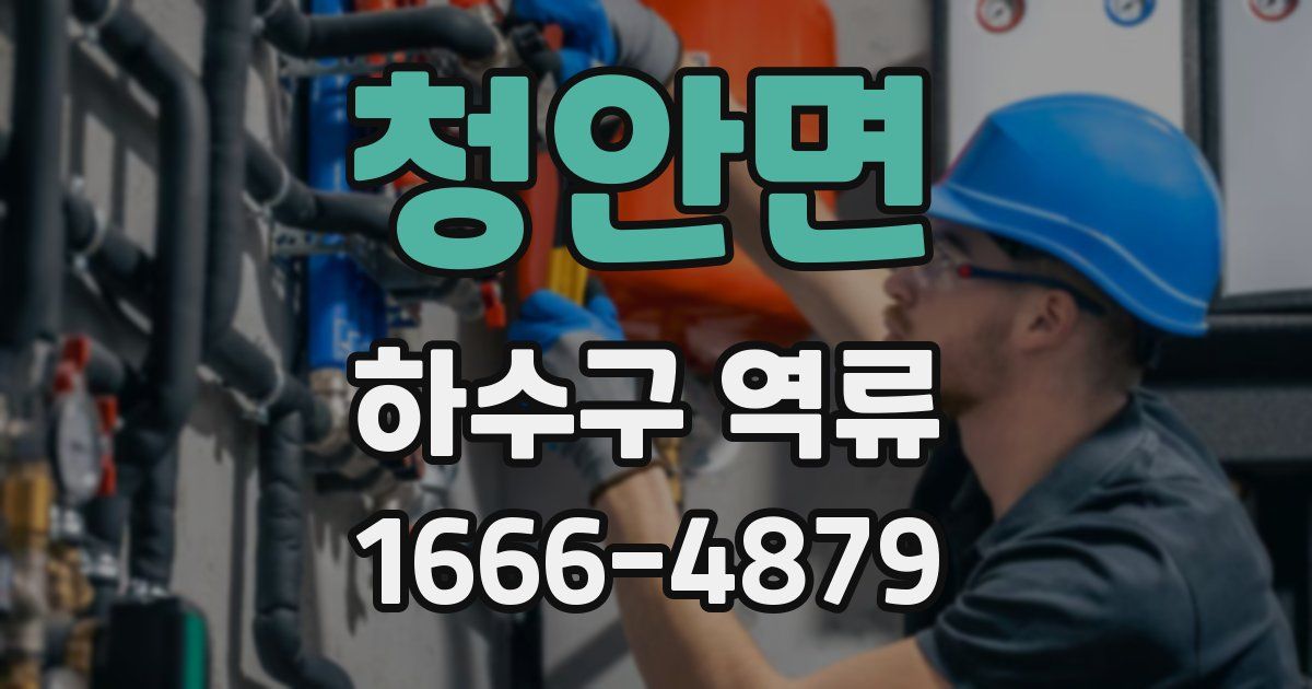 청안면 하수구 역류