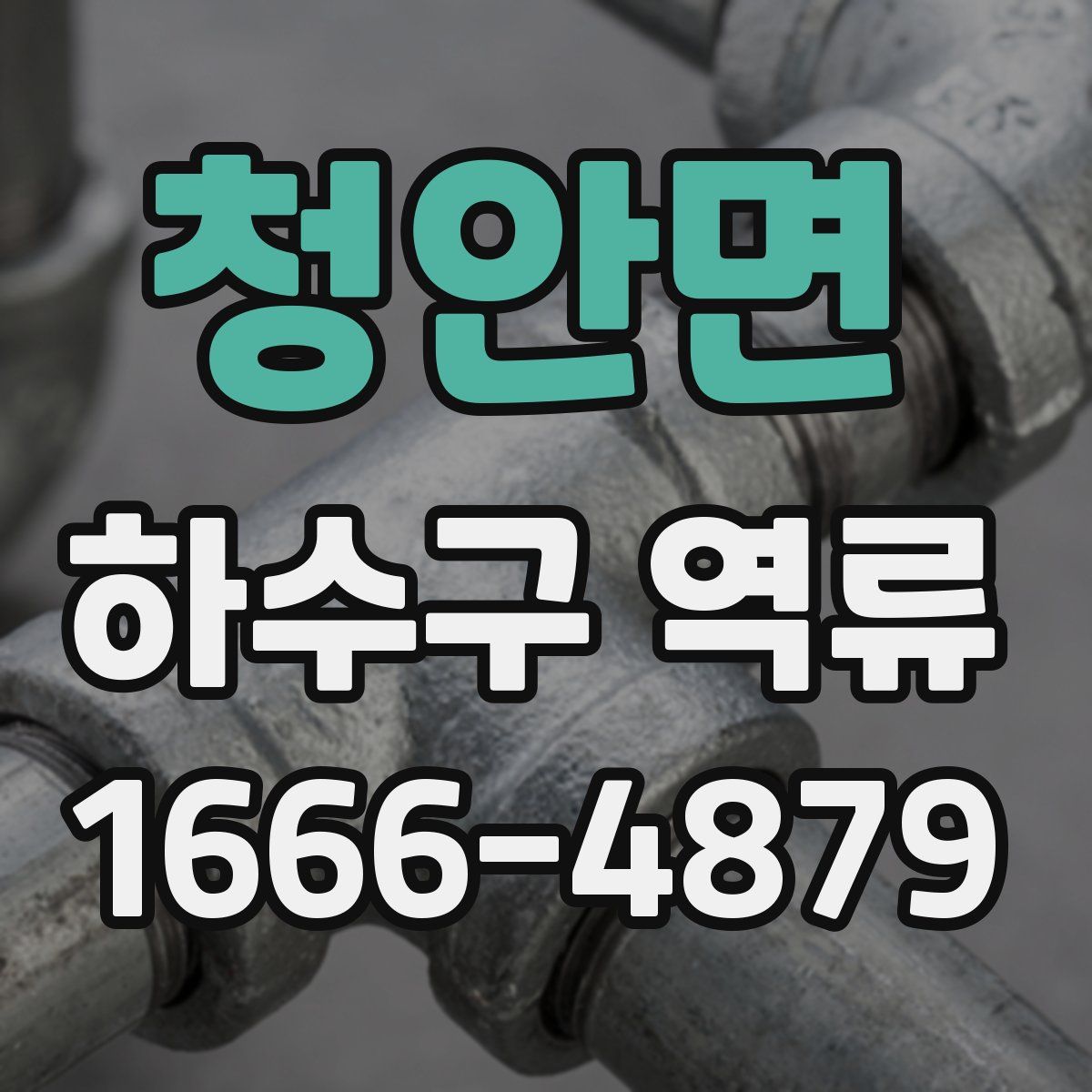 청안면 하수구 역류