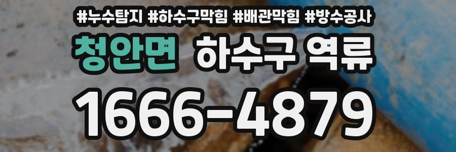 청안면 하수구 역류