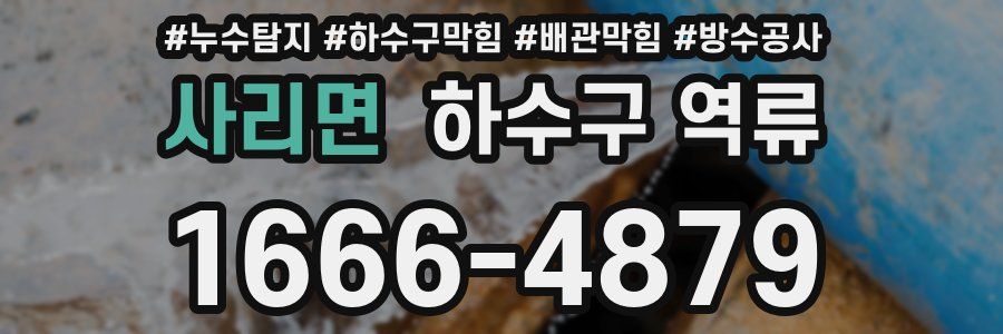 사리면 하수구 역류