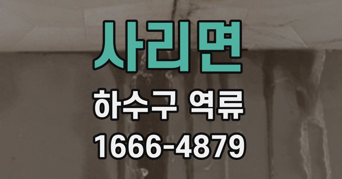 사리면 하수구 역류