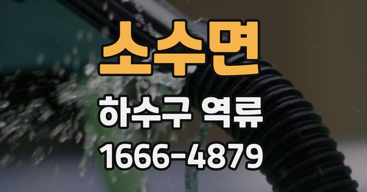 소수면 하수구 역류