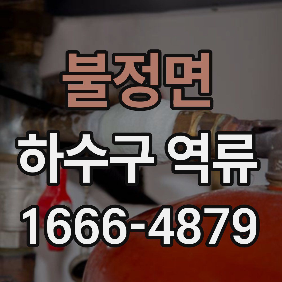 불정면 하수구 역류