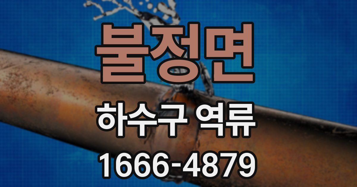 불정면 하수구 역류
