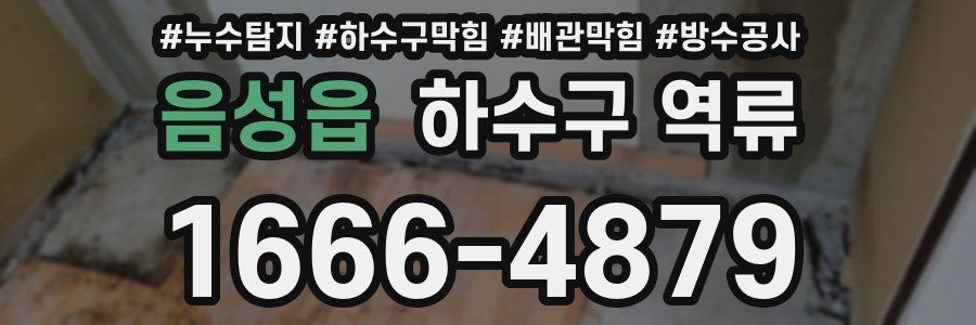 음성읍 하수구 역류