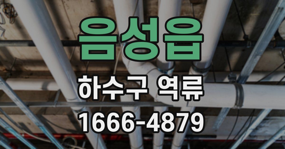 음성읍 하수구 역류