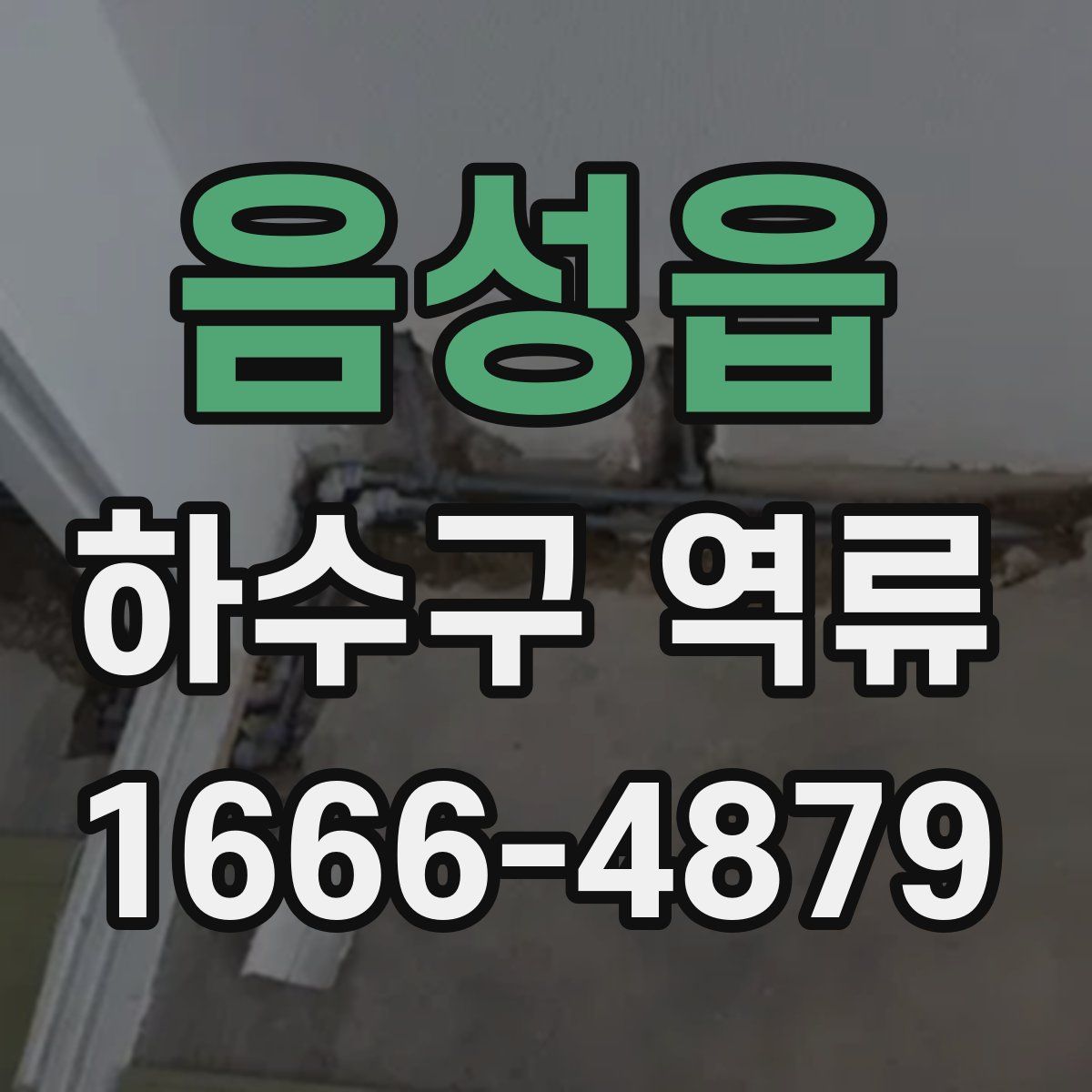 음성읍 하수구 역류