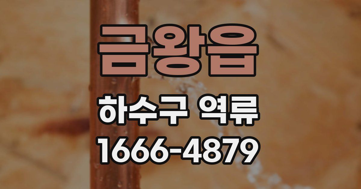 금왕읍 하수구 역류