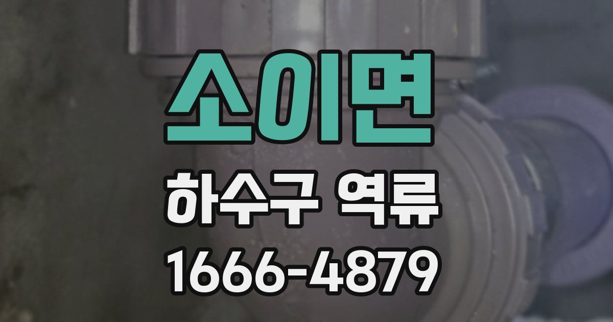소이면 하수구 역류