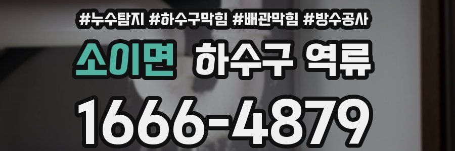 소이면 하수구 역류