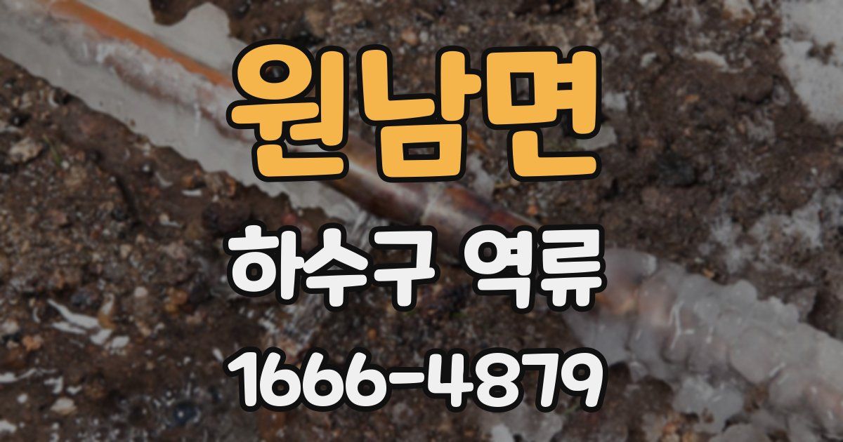 원남면 하수구 역류