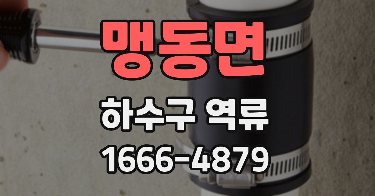 맹동면 하수구 역류