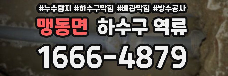 맹동면 하수구 역류