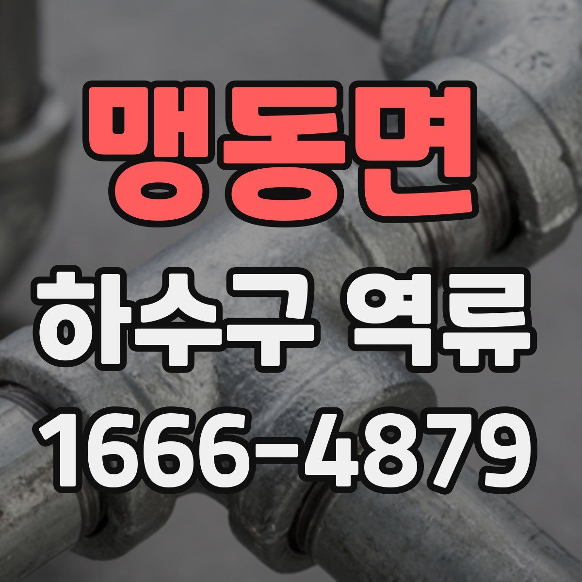 맹동면 하수구 역류
