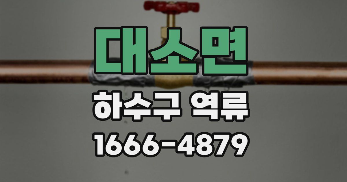 대소면 하수구 역류