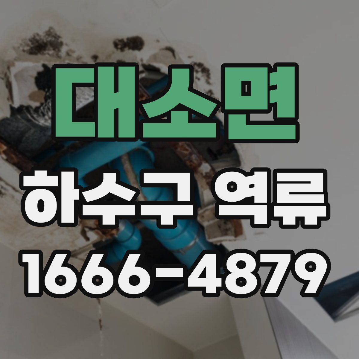 대소면 하수구 역류