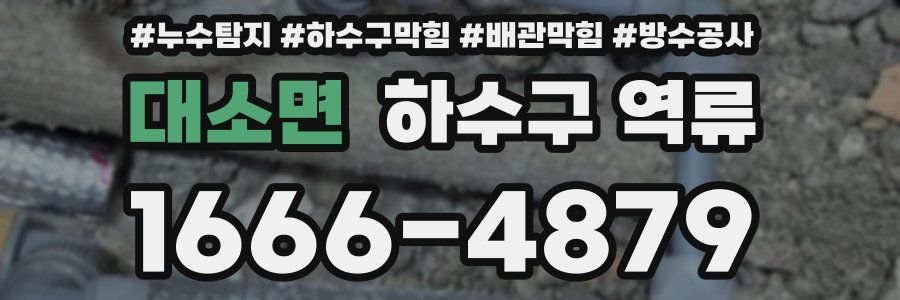 대소면 하수구 역류