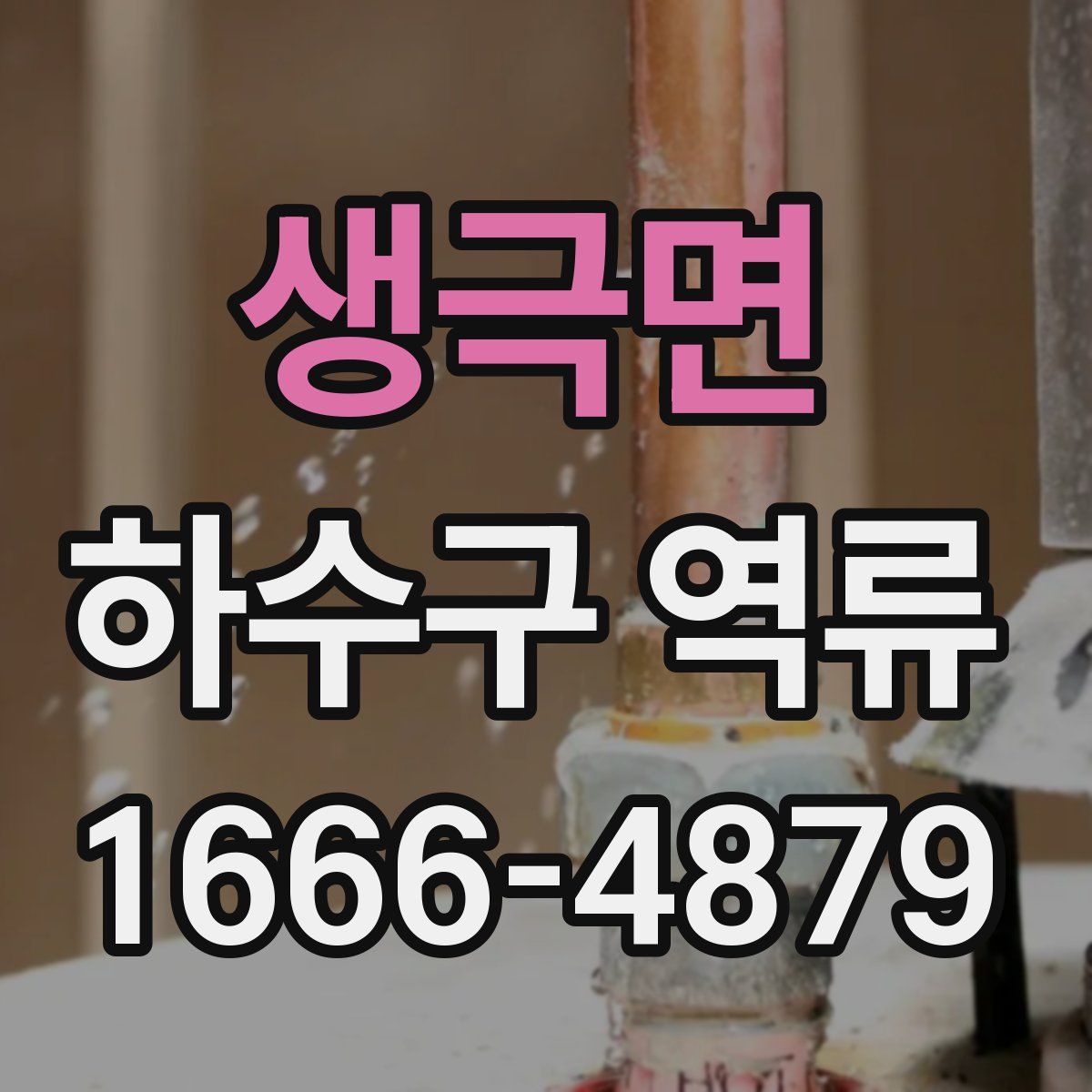 생극면 하수구 역류
