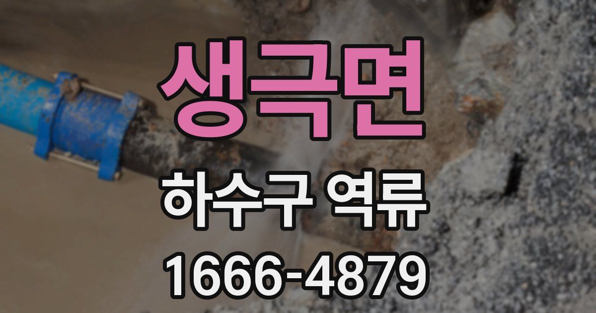 생극면 하수구 역류