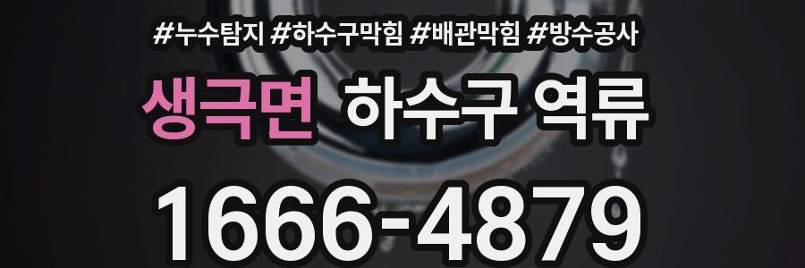생극면 하수구 역류