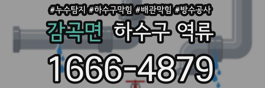 감곡면 하수구 역류