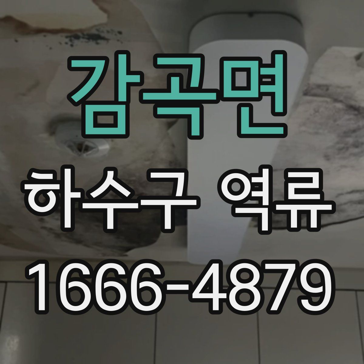 감곡면 하수구 역류