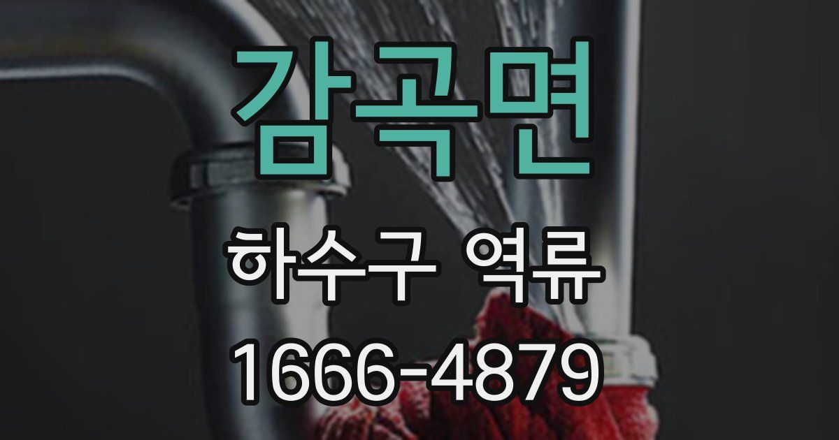 감곡면 하수구 역류