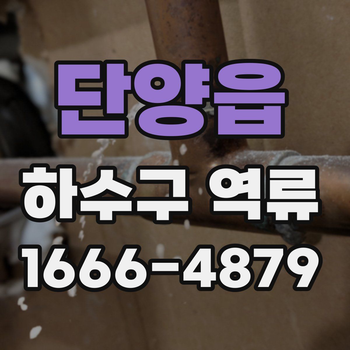 단양읍 하수구 역류