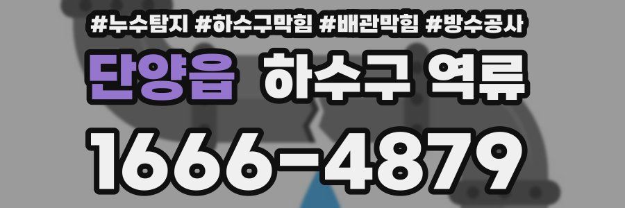 단양읍 하수구 역류