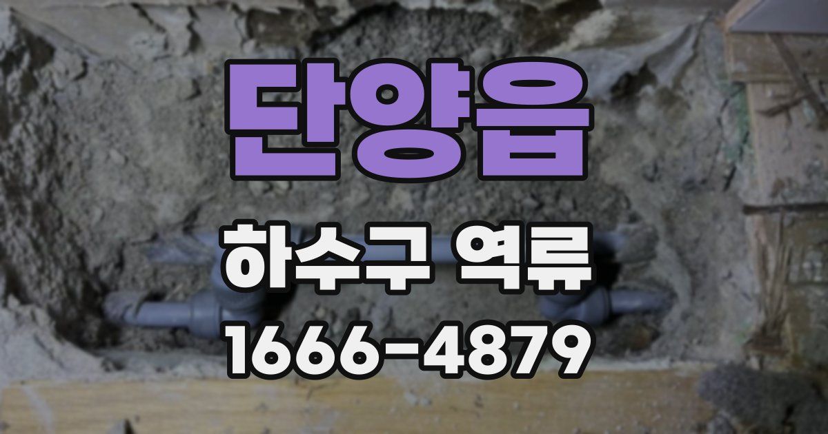 단양읍 하수구 역류