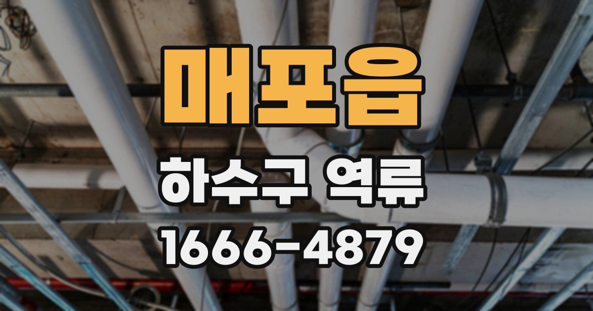 매포읍 하수구 역류