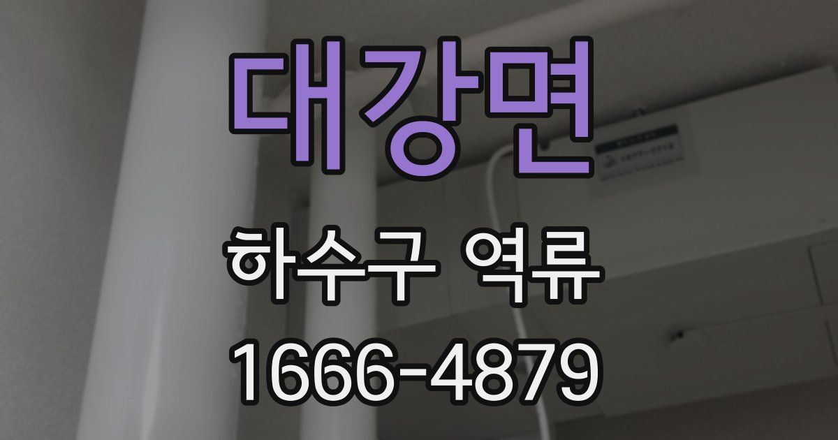 대강면 하수구 역류