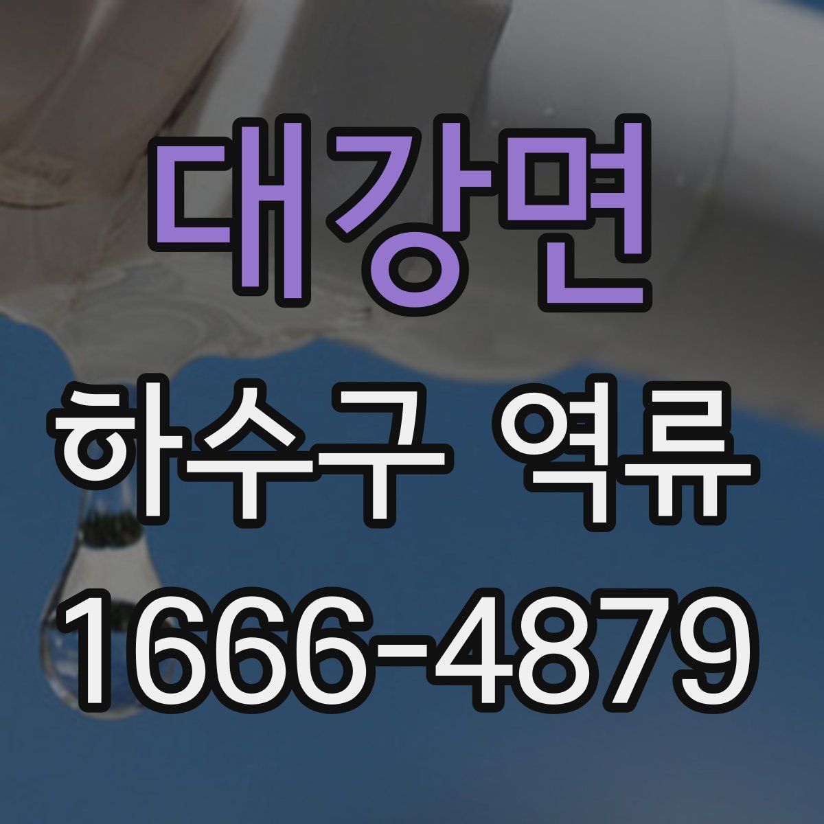 대강면 하수구 역류