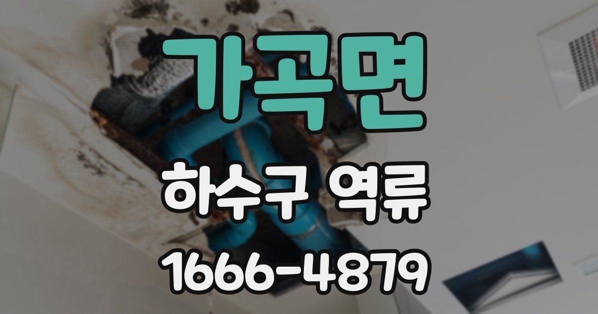 가곡면 하수구 역류