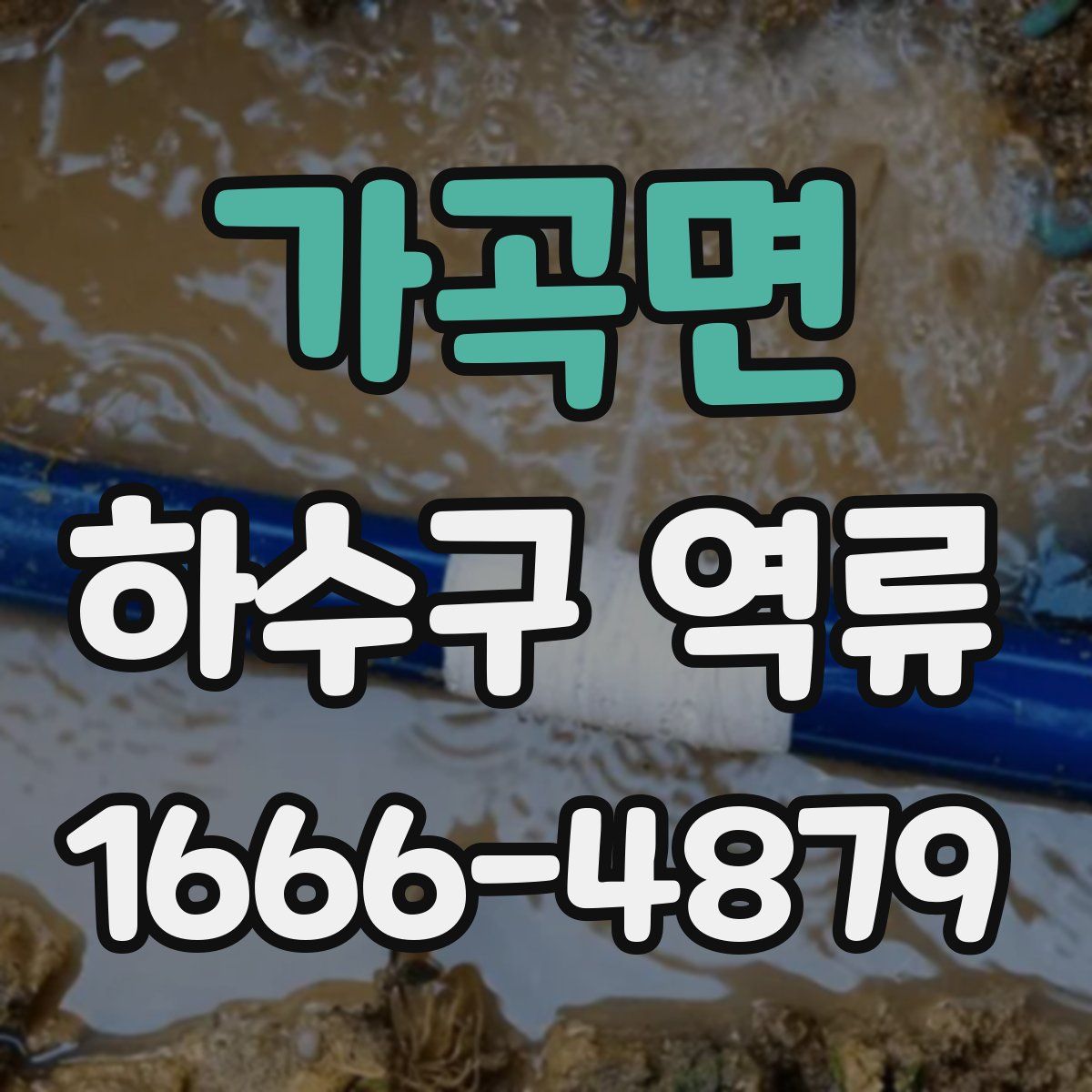 가곡면 하수구 역류