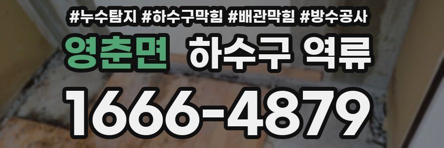 영춘면 하수구 역류