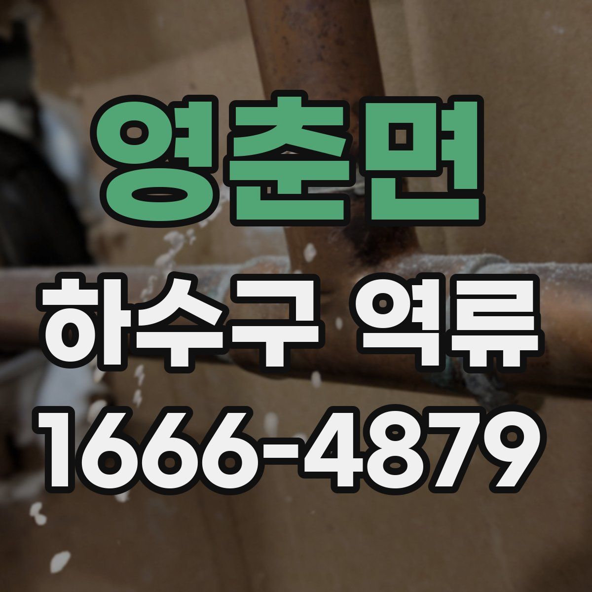 영춘면 하수구 역류