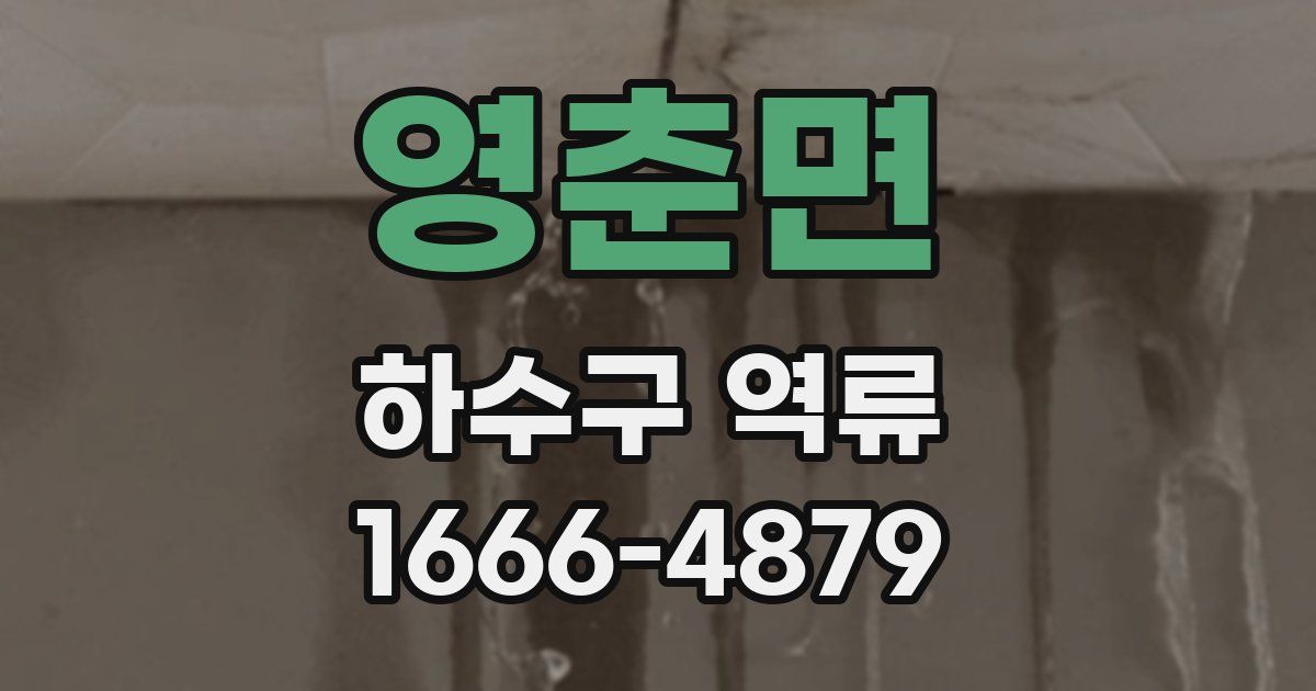 영춘면 하수구 역류