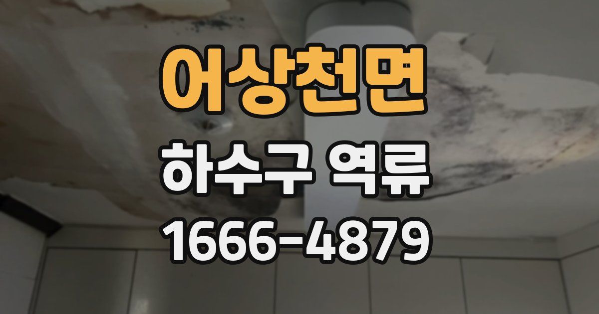 어상천면 하수구 역류