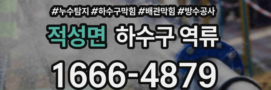 적성면 하수구 역류