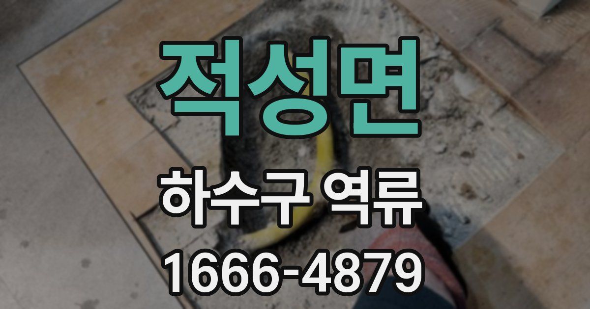 적성면 하수구 역류
