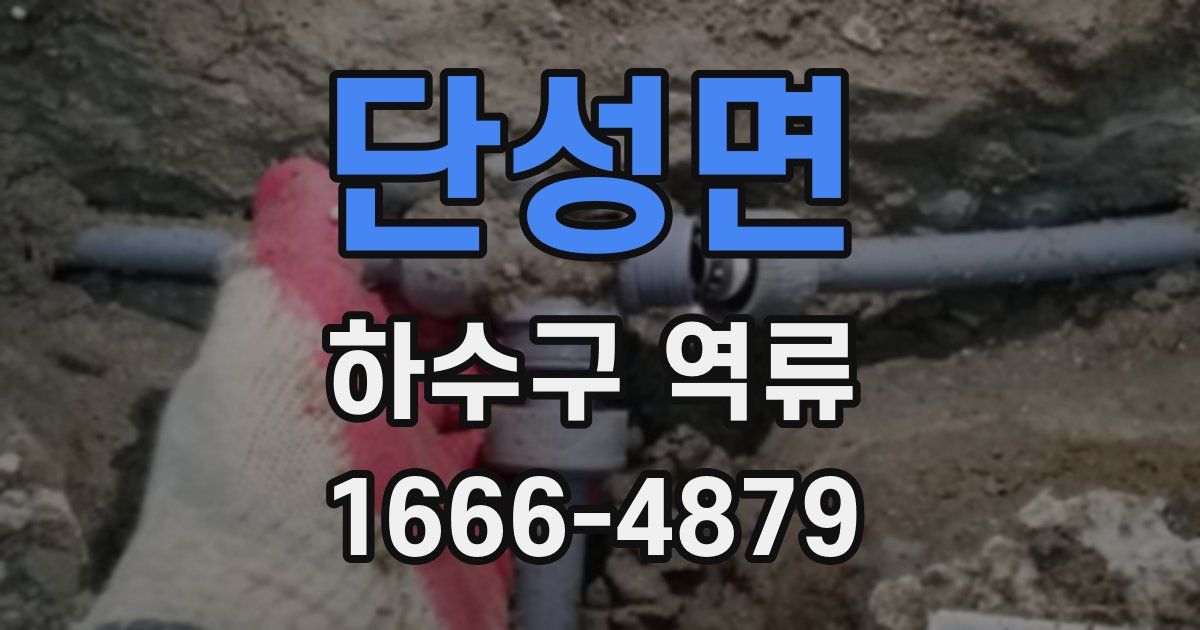 단성면 하수구 역류